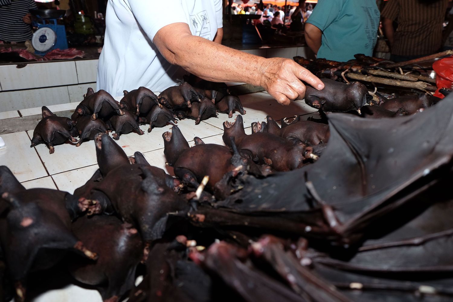 Coronavirus Could End Disease-Ridden Wildlife Trade
