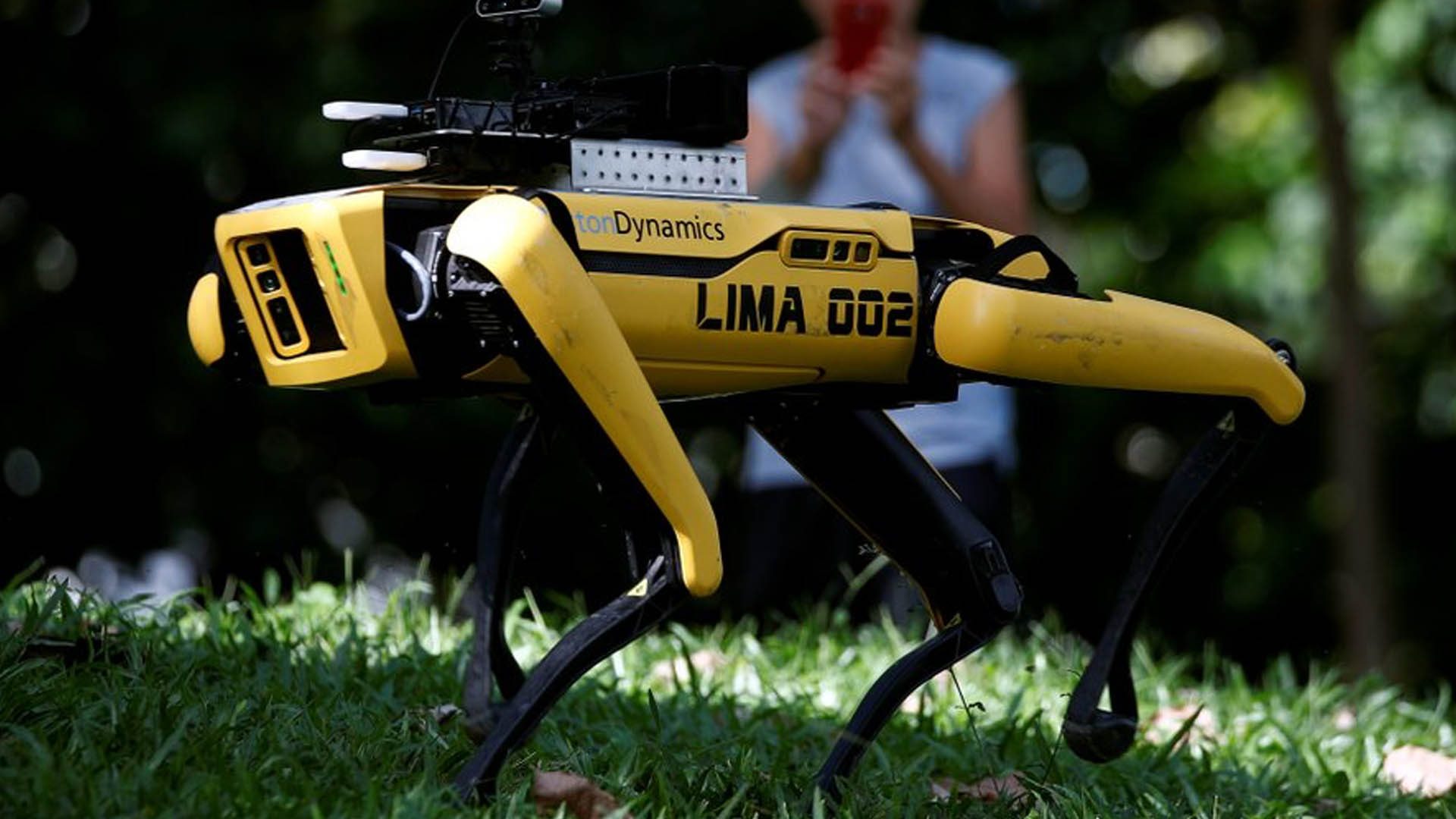 Bientôt des « chiens-robots » pour faire respecter la distanciation sociale ? C'est en test à Singapour