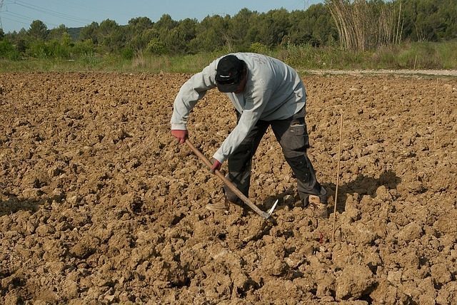 Migrants : six personnes et trois entreprises inculpées pour « traite d’êtres humains » à Reims