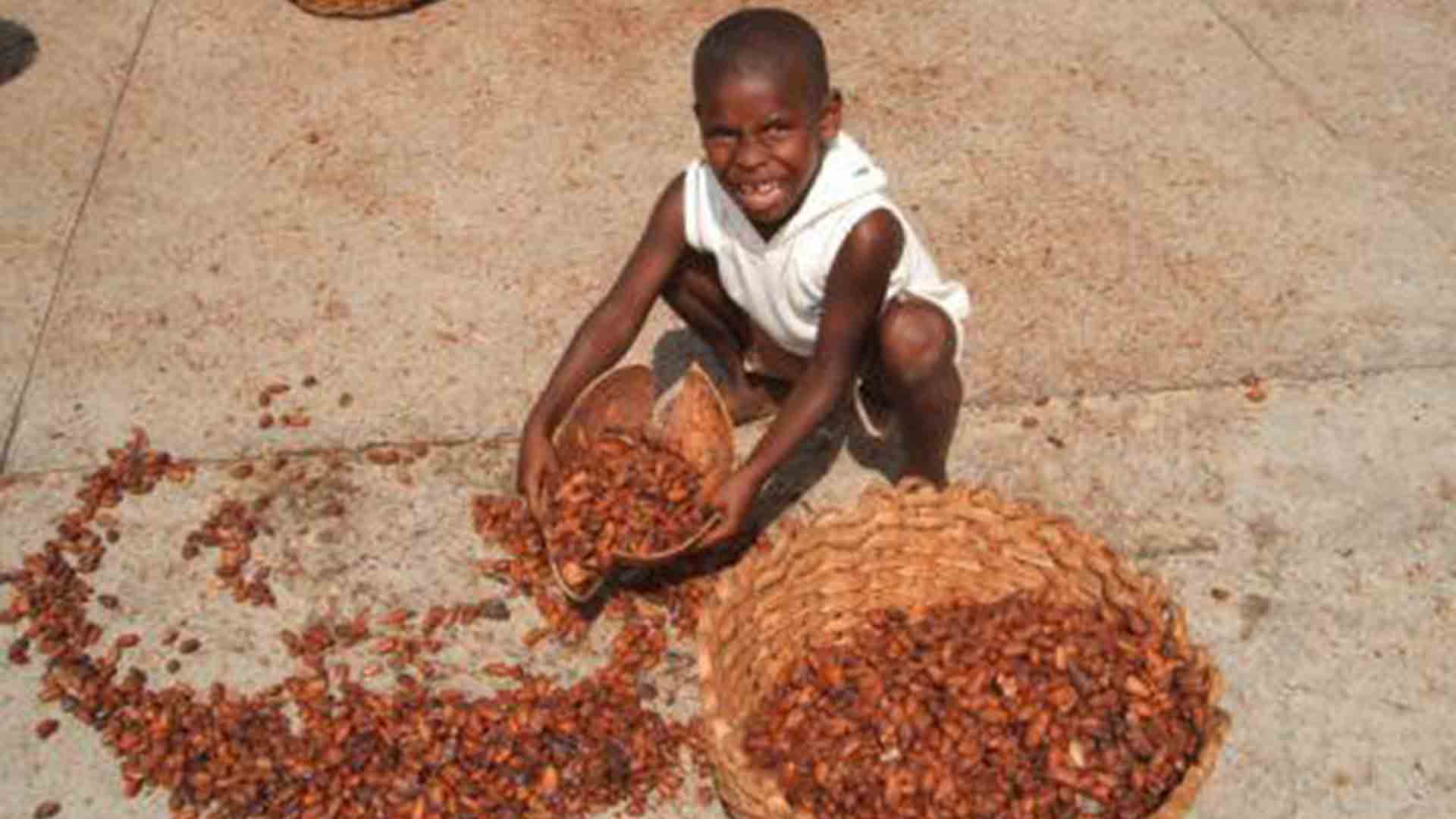 L'industrie du chocolat fait toujours travailler des enfants