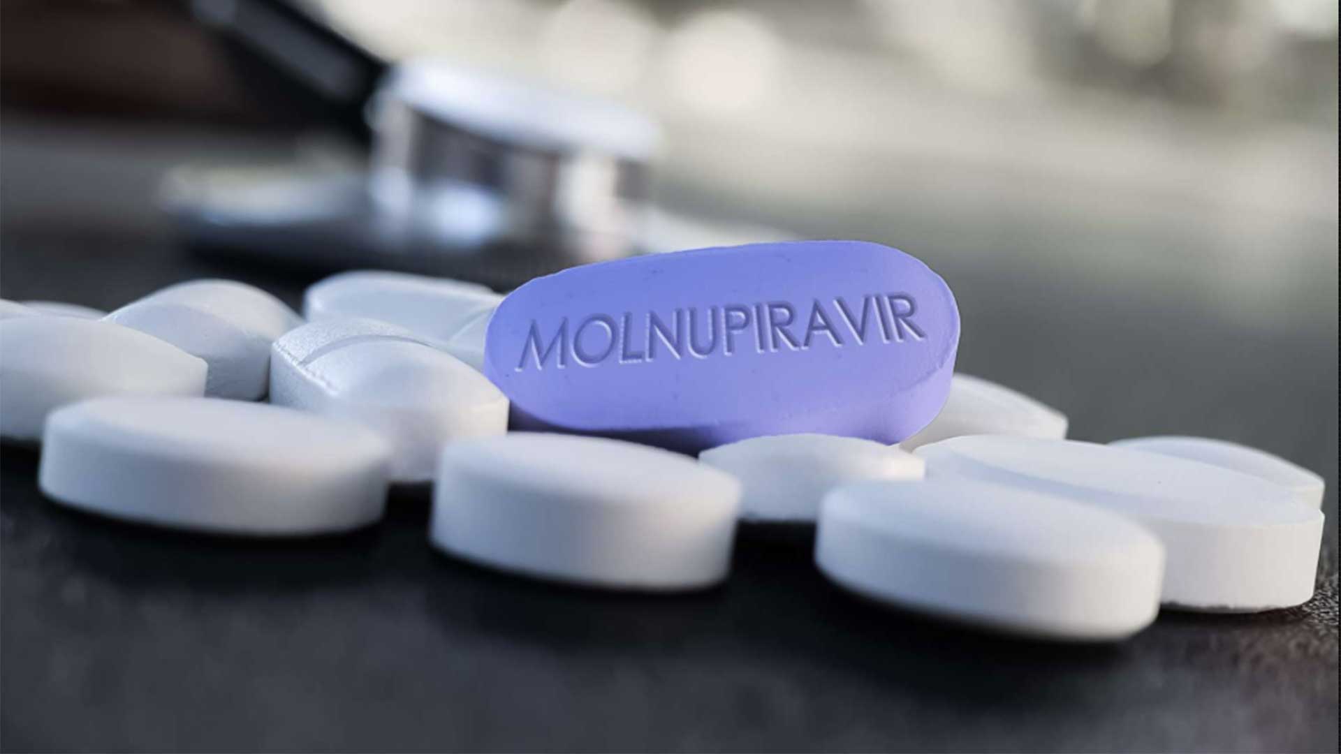 Le Molnupiravir, un espoir pour stopper la transmission du Covid-19 ?
