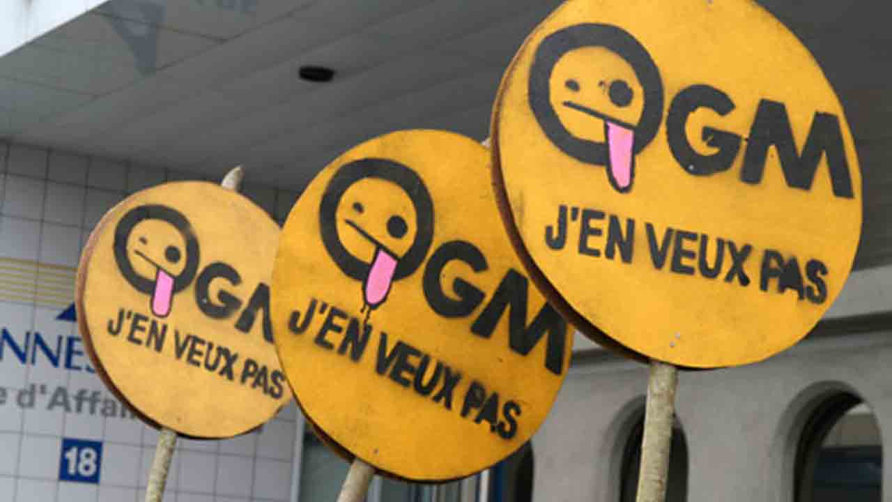 La Commission européenne ouvre la porte aux nouveaux OGM dans nos assiettes