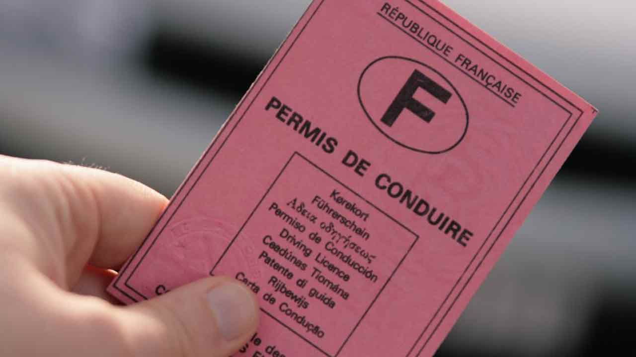 Découvrez votre avis sur la gratuité du permis de conduire selon notre sondage