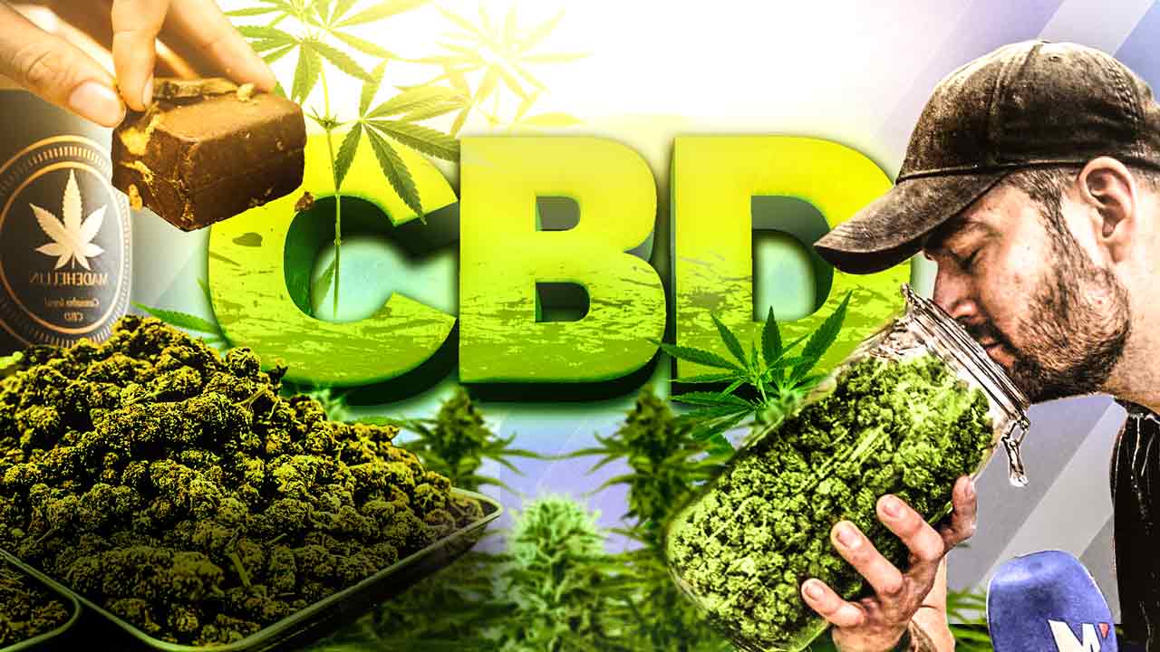 Salon du CBD   (lol) : je goûte tout !